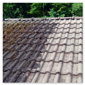 Nettoyage de toiture à Cestas